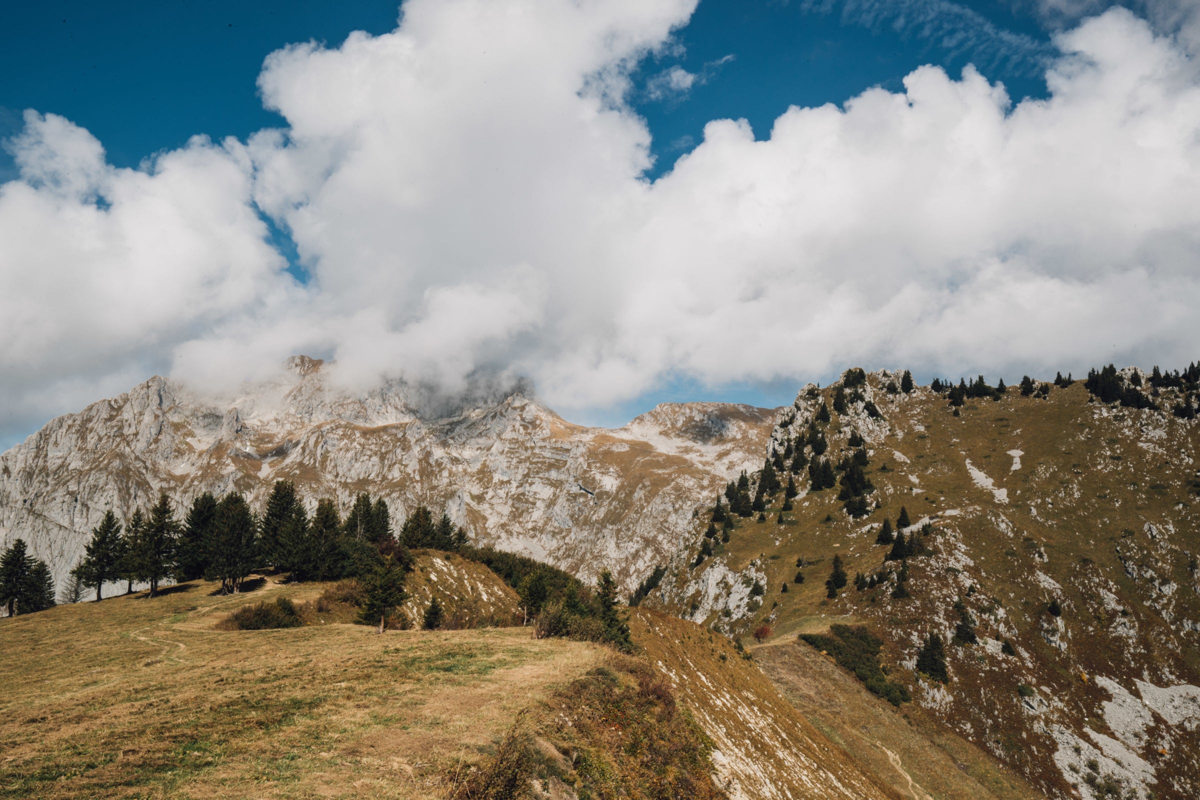 Paysage de montagne avec un premier plan rocheux et un sommet couvert de nuages, bordé de pins sous un ciel ensoleillé.