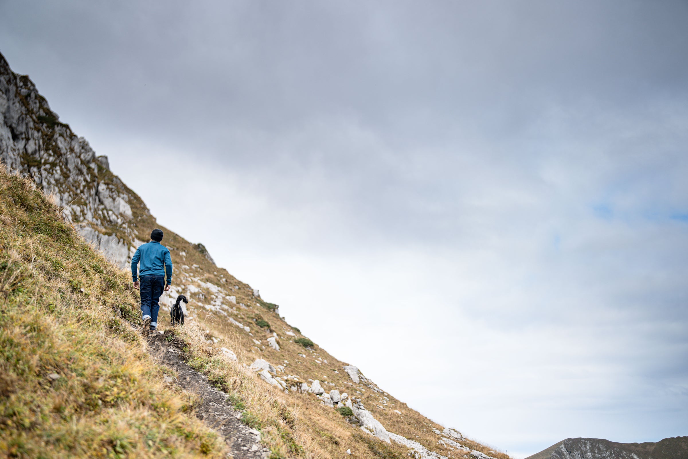 Un randonneur portant une polaire en laine Merino montant un sentier de montagne avec un chien