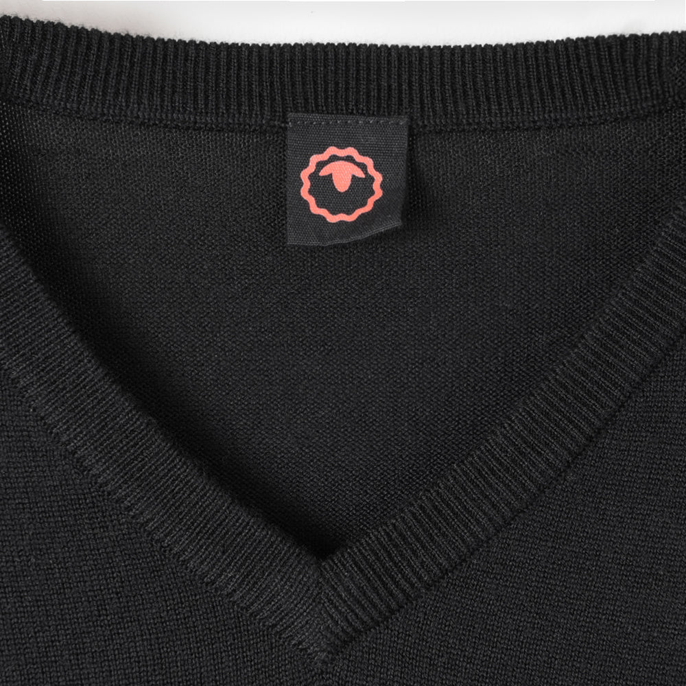 Homme Pull col V en mérinos Woolsey (Black)