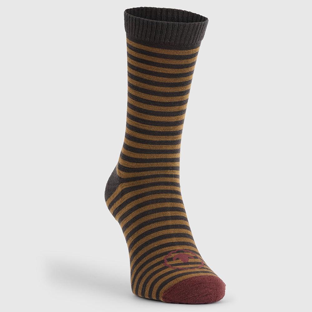 Merino Blend Everyday Socks (3 Pack - Chocolate/Dull Gold)
