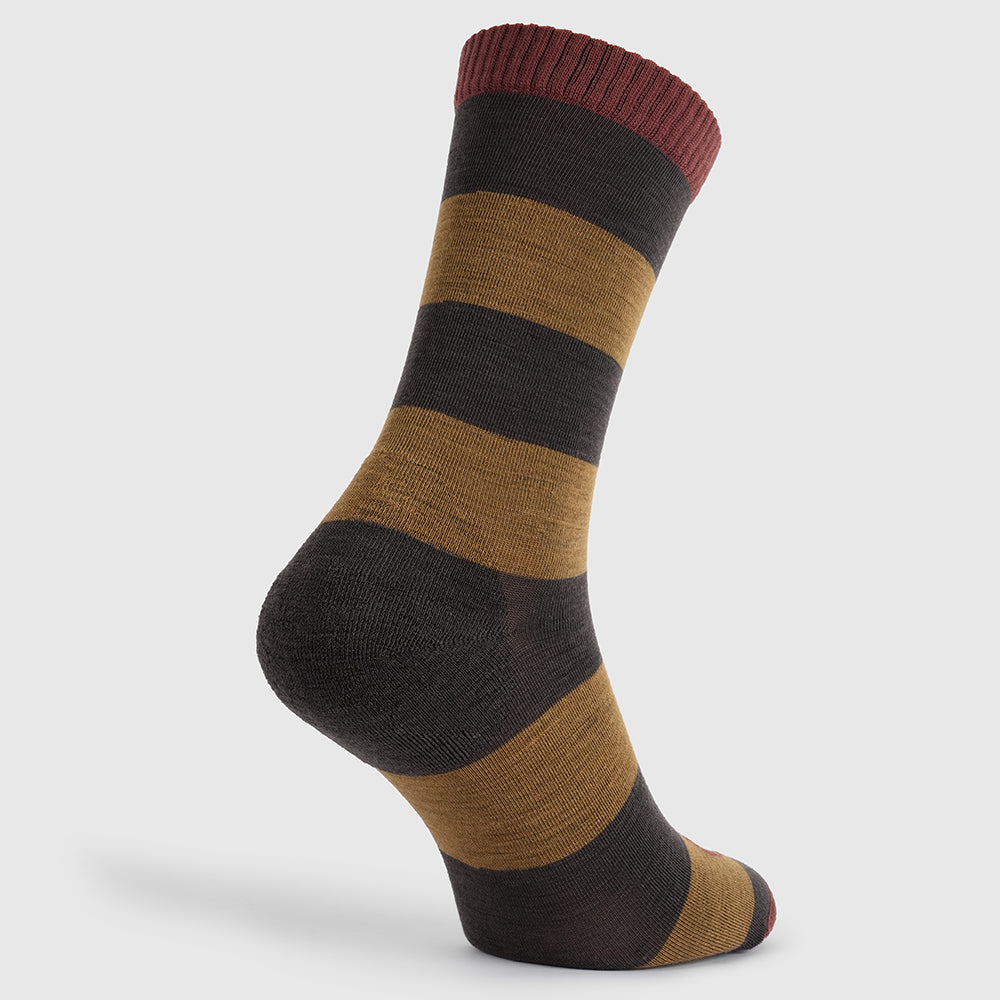 Merino Blend Everyday Socks (3 Pack - Chocolate/Dull Gold)